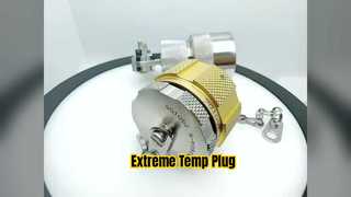 耐久性のあるステンレス鋼プラグ 22006E1619PN